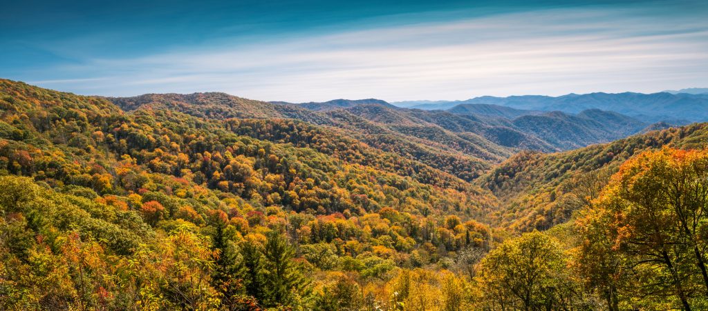 Why the Smoky Mountains Remain a Top Investment Destination in 2025