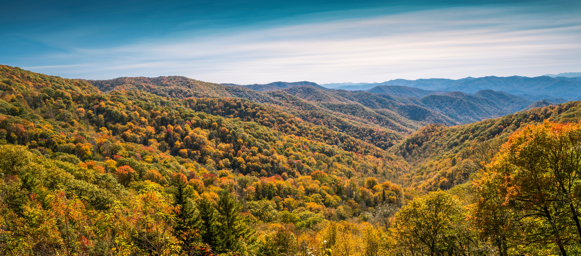 Smoky Mountains real estate investing opportunities in 2025