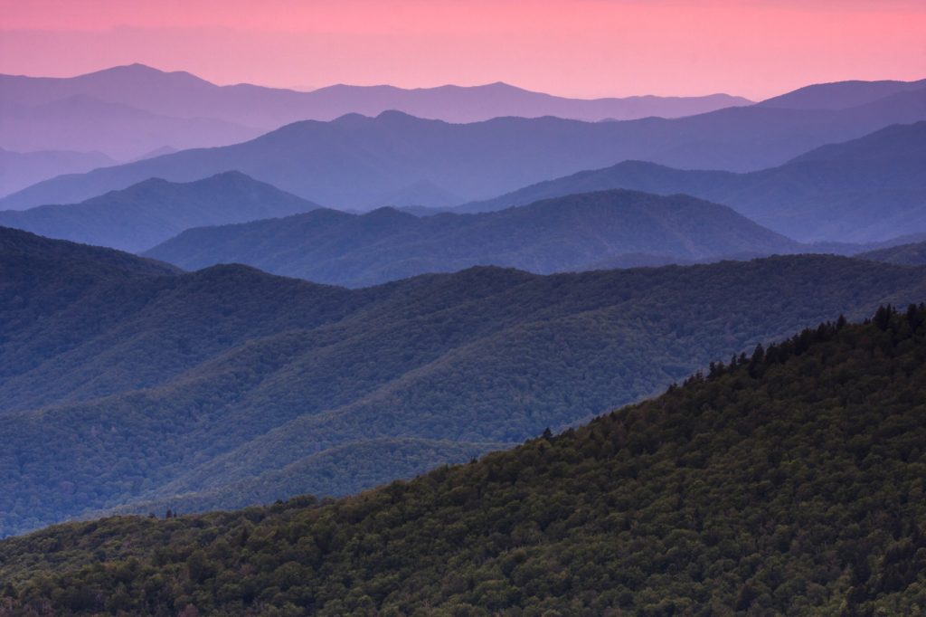 Best Places to Invest in Tennessee Real Estate in 2025